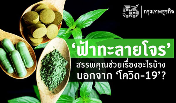 อาการโควิดเริ่มต้น : วิธีสังเกตุอาการผู้ติดไวรัสโควิด-19 - Tuemaster เรียน ... : We did not find results for: