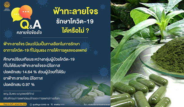 ศบค.ยืนยัน “ฟ้าทะลายโจร” เป็นทางเลือกในการรักษาโควิด-19 ได้กรณีอาการไม่รุนแรง ผลศึกษาชัดลดปอดอักเสบ