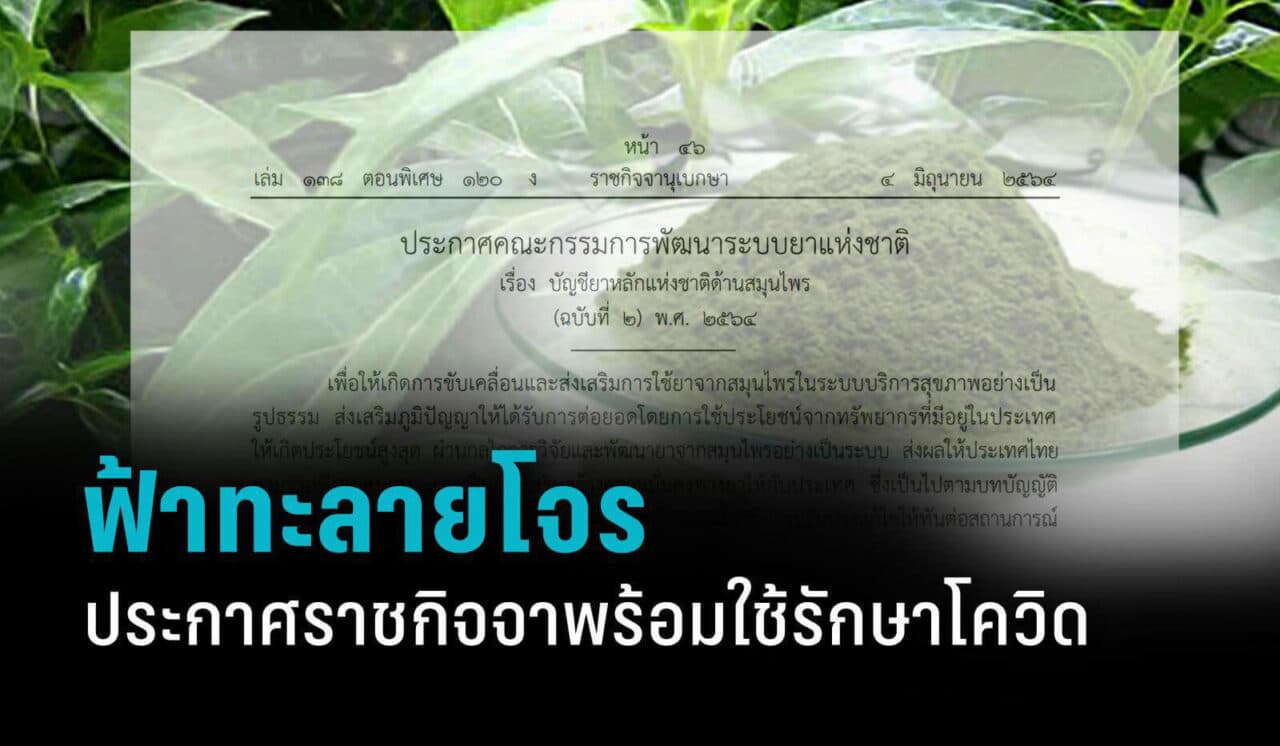 ราชกิจจาประกาศ "ฟ้าทะลายโจร" บัญชียาหลักแห่งชาติด้านสมุนไพร