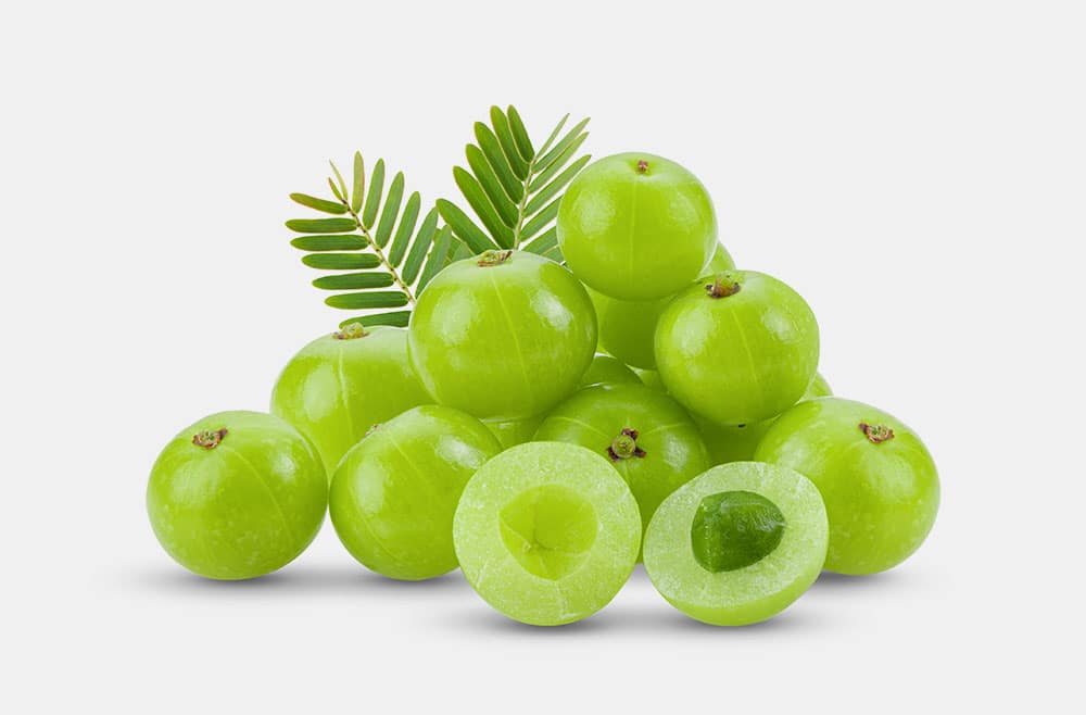 nature amla